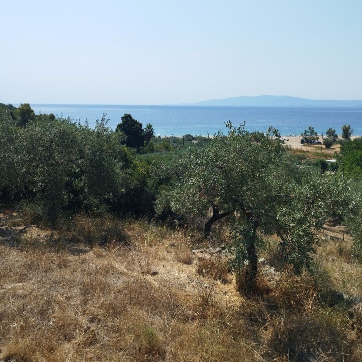 Land in Aristotle, Chalkidiki, Greece – 60437