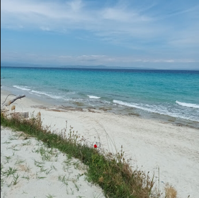Land in Kassandra, Chalkidiki, Greece – 60430