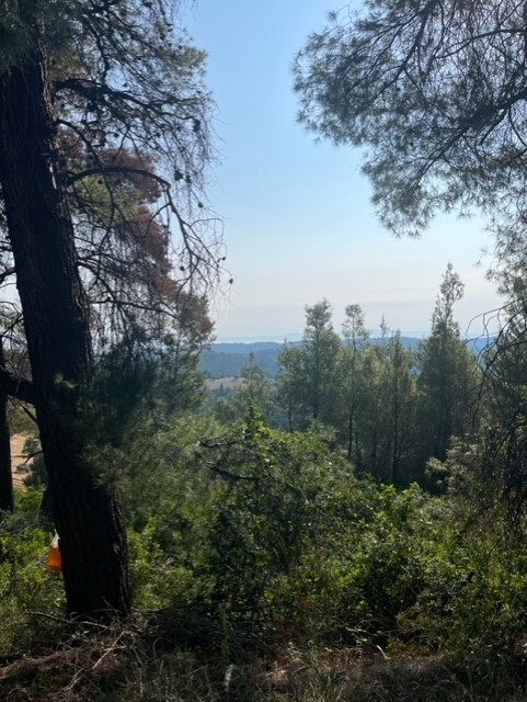 Land in Kassandra, Chalkidiki, Greece – 60383
