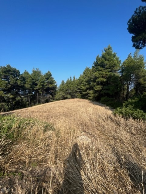 Land in Kassandra, Chalkidiki, Greece – 60383