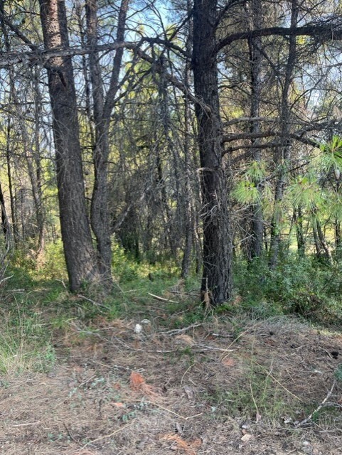 Land in Kassandra, Chalkidiki, Greece – 60381