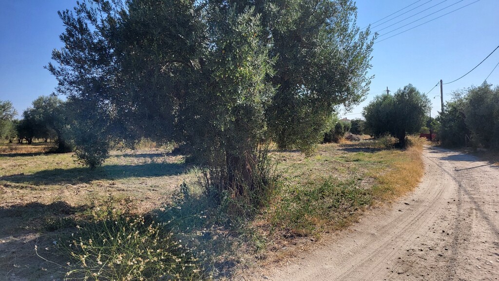 Land in Kassandra, Chalkidiki, Greece – 60326