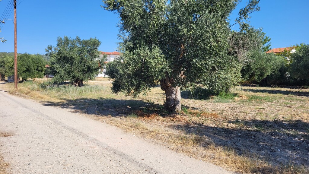Land in Kassandra, Chalkidiki, Greece – 60326
