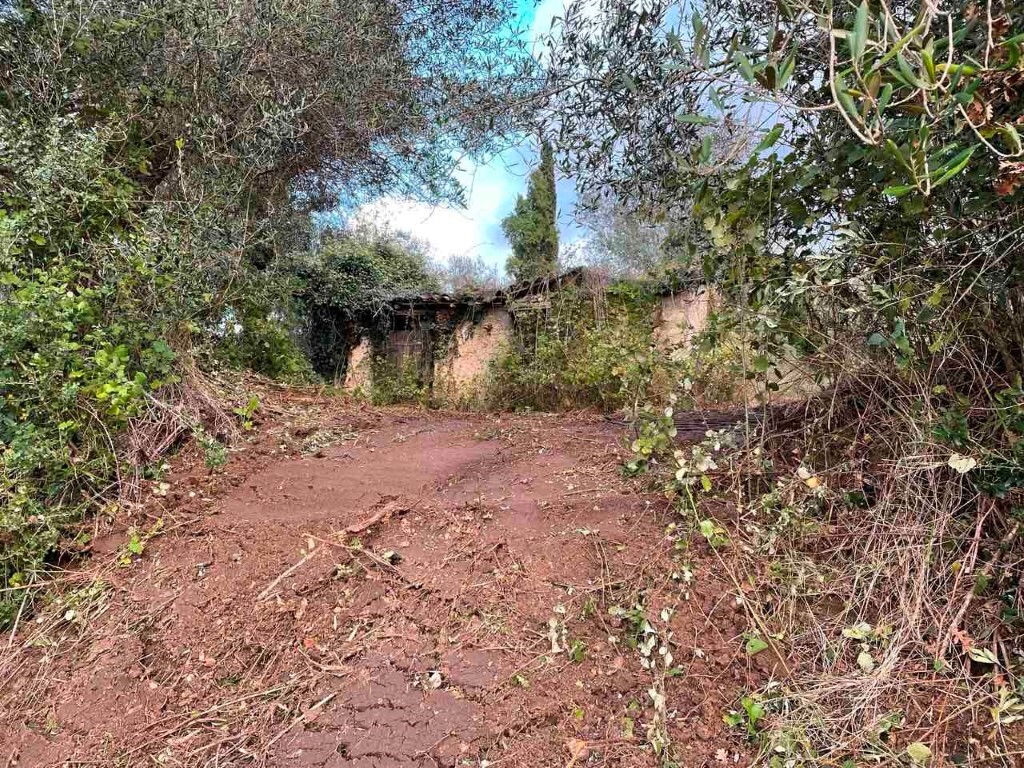 Land in Corfu, Corfu Prefecture, Greece – 60321