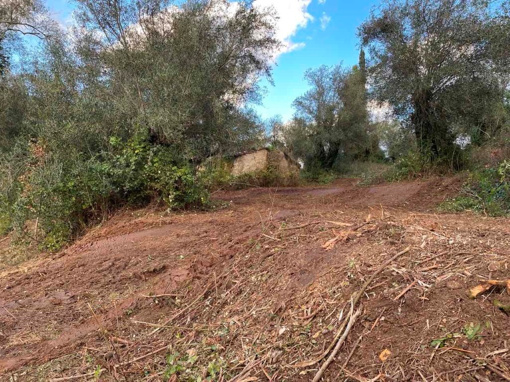 Land in Corfu, Corfu Prefecture, Greece – 60321