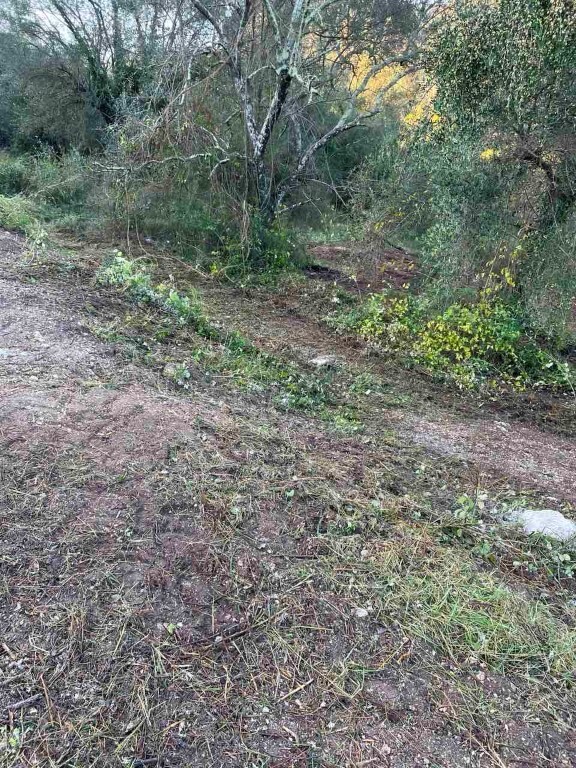 Land in Corfu, Corfu Prefecture, Greece – 60321