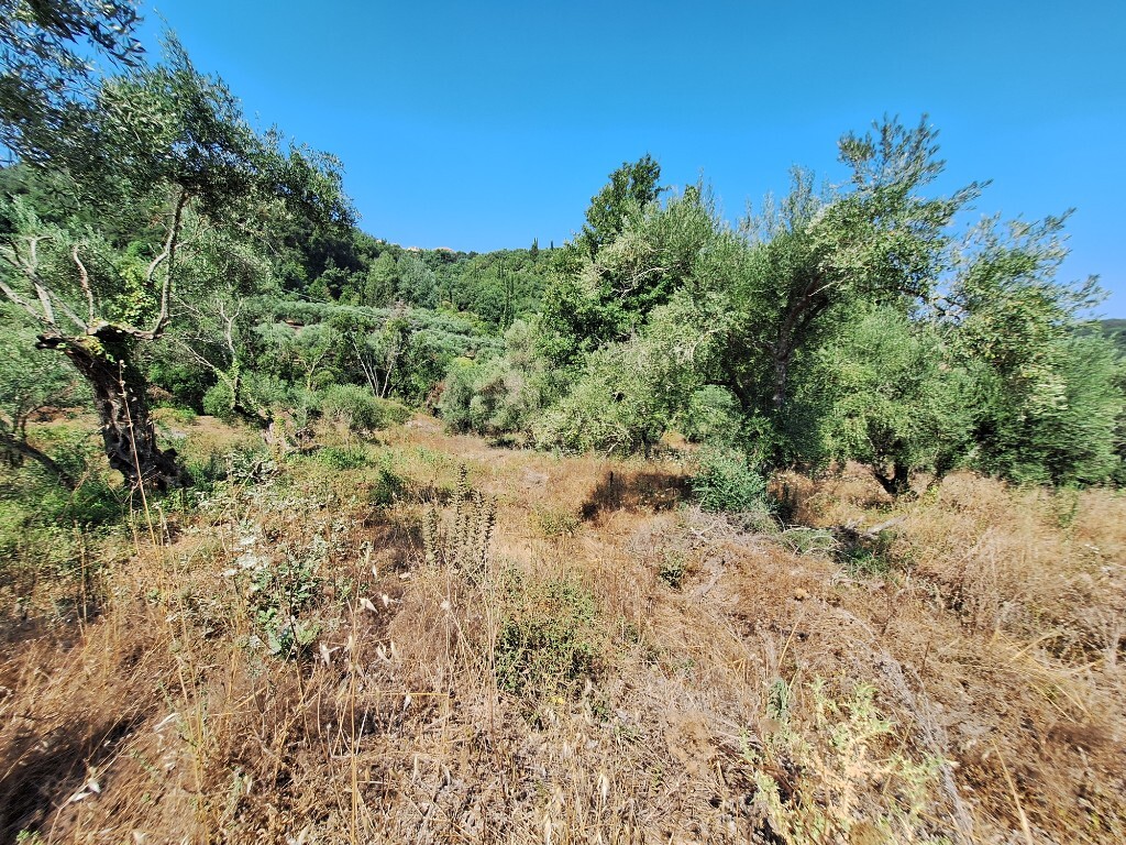 Land in Corfu, Corfu Prefecture, Greece – 60321