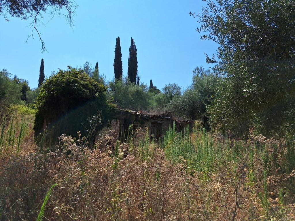 Land in Corfu, Corfu Prefecture, Greece – 60321