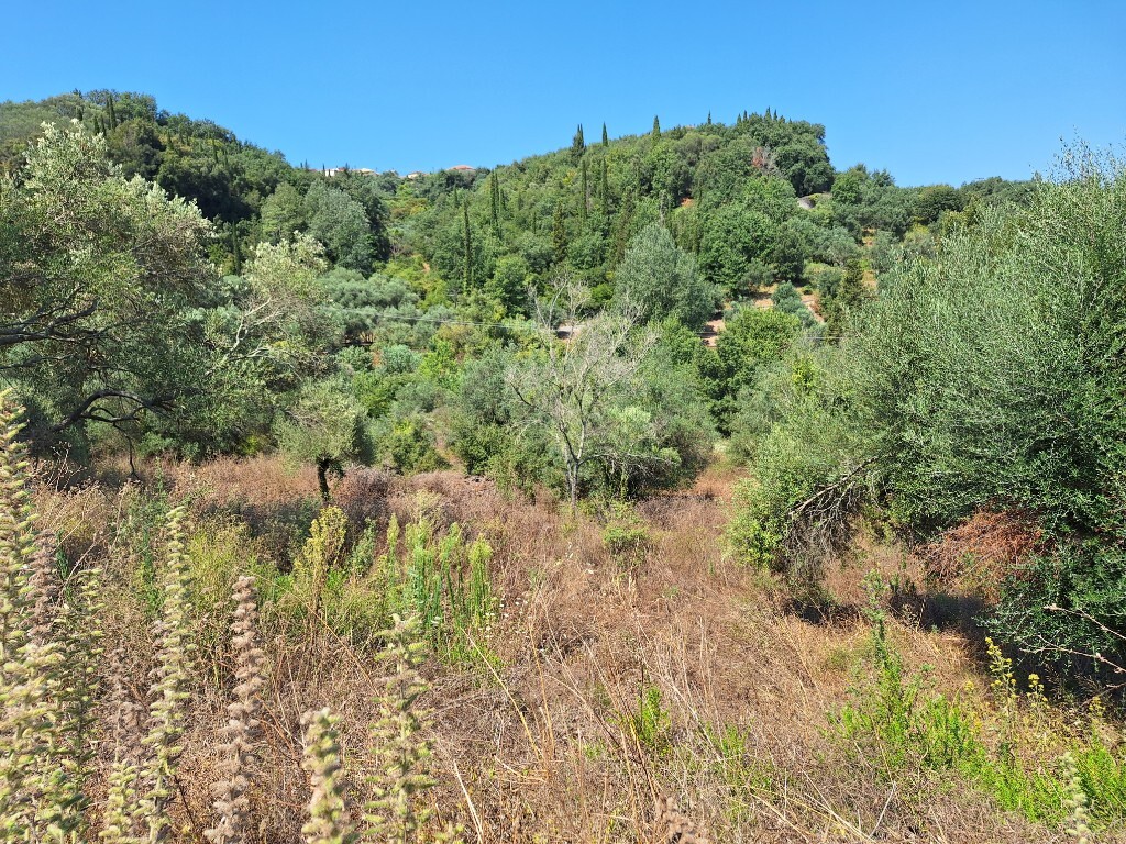 Land in Corfu, Corfu Prefecture, Greece – 60321