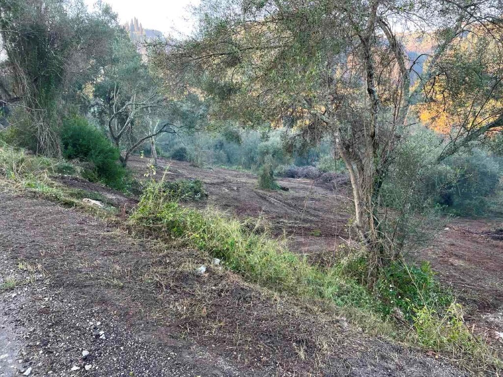 Land in Corfu, Corfu Prefecture, Greece – 60321