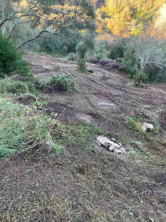 Land in Corfu, Corfu Prefecture, Greece – 60317