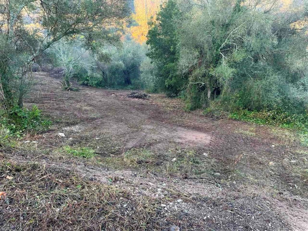 Land in Corfu, Corfu Prefecture, Greece – 60317