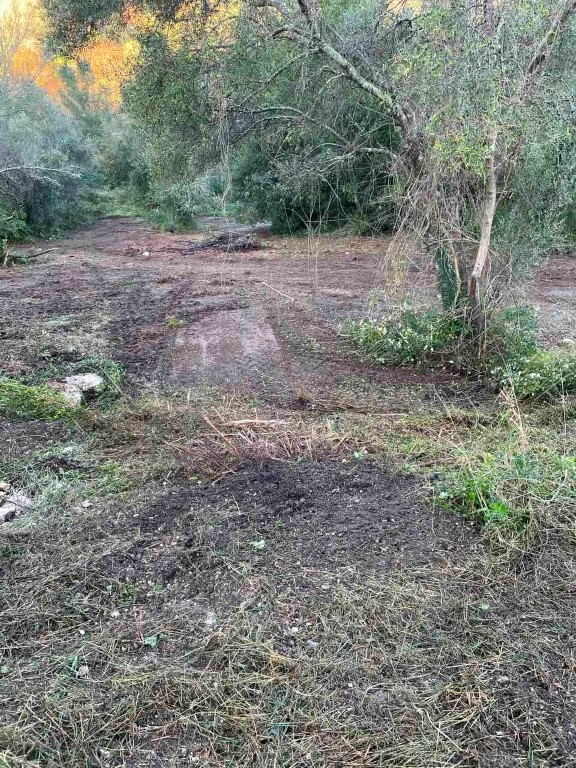 Land in Corfu, Corfu Prefecture, Greece – 60317