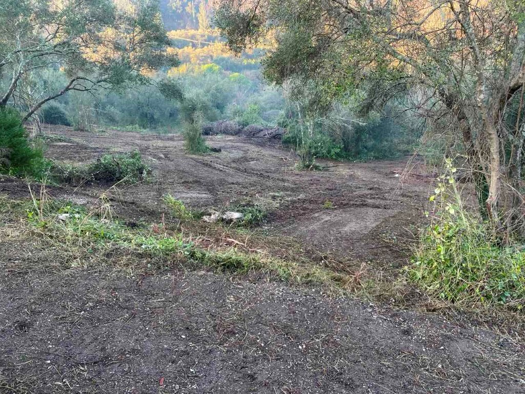 Land in Corfu, Corfu Prefecture, Greece – 60317