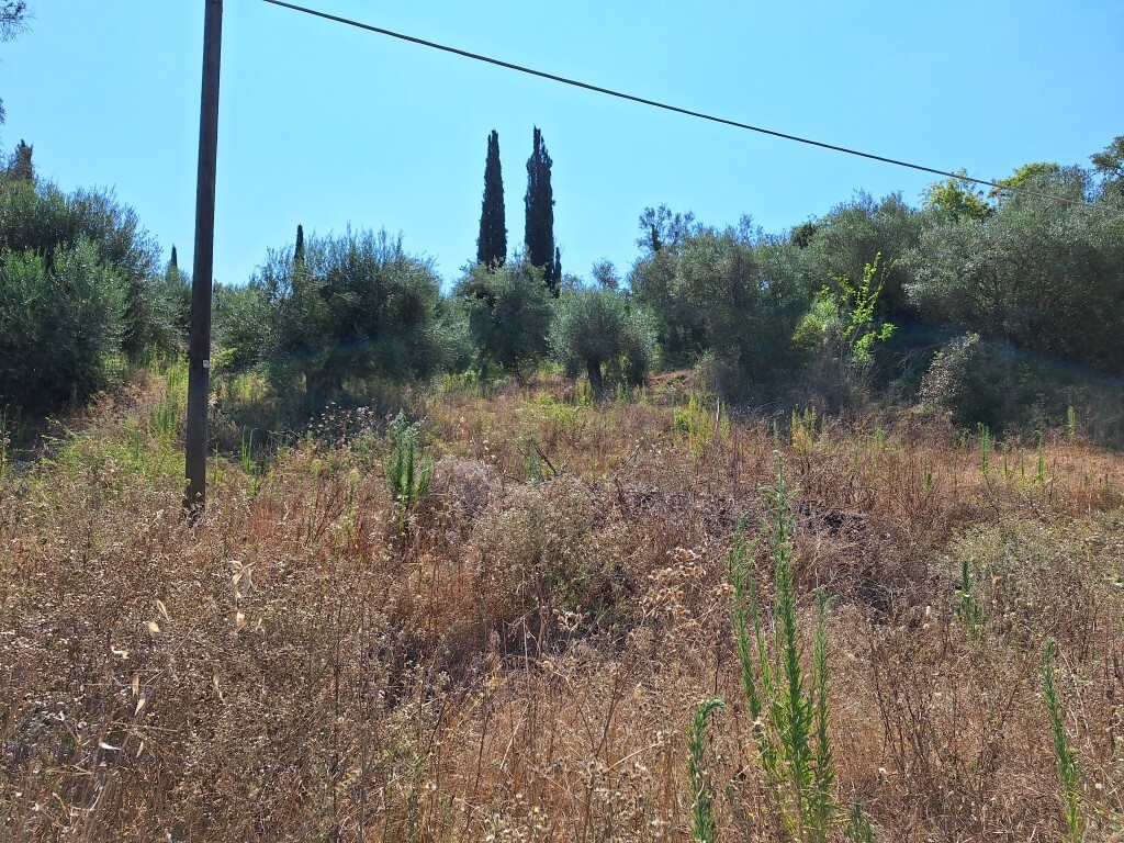Land in Corfu, Corfu Prefecture, Greece – 60316