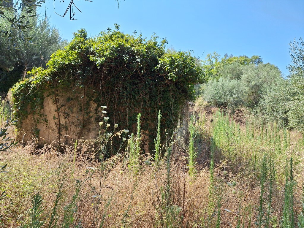 Land in Corfu, Corfu Prefecture, Greece – 60316
