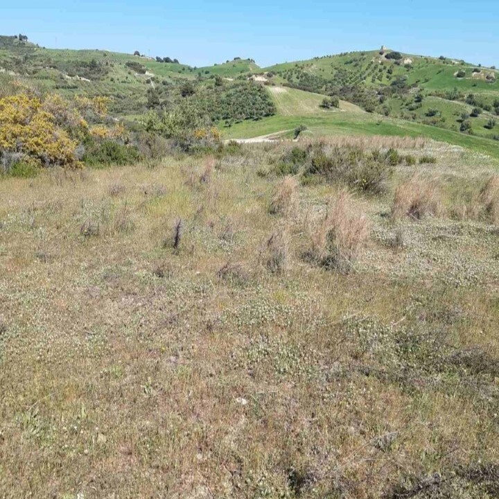 Land in Sithonia, Chalkidiki, Greece – 60310