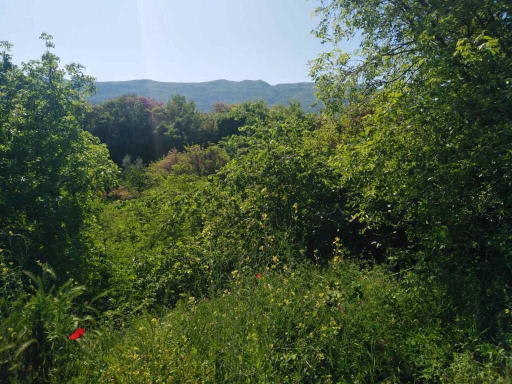 Land in Veroia, Imathia, Greece – 60302