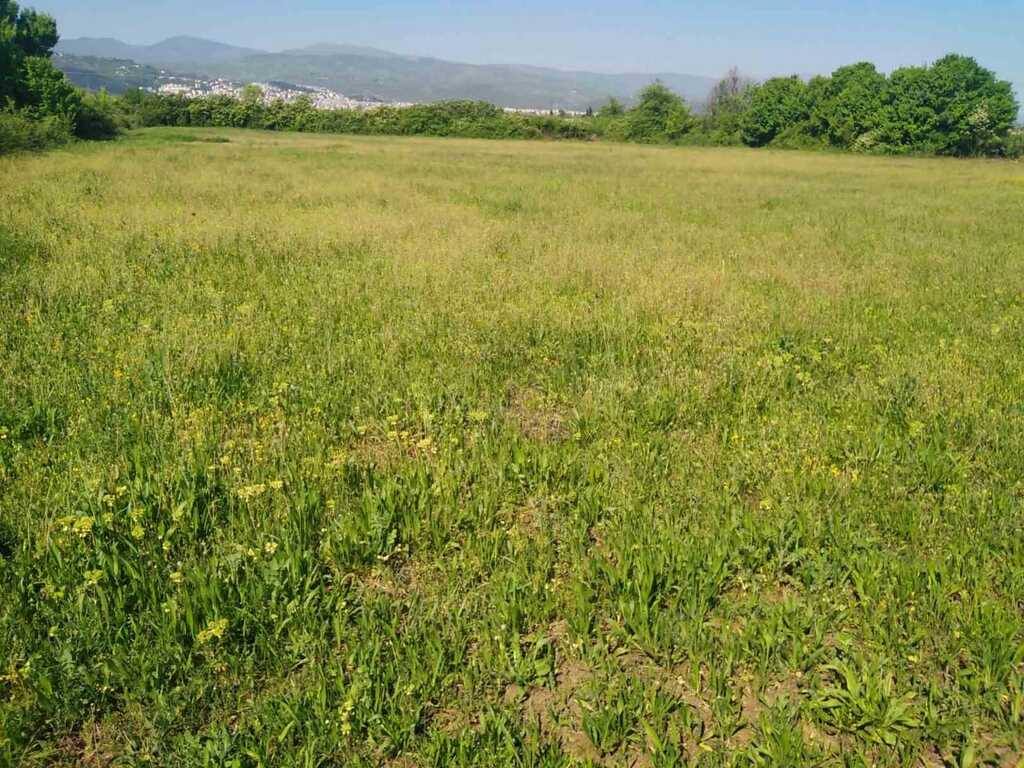 Land in Veroia, Imathia, Greece – 60300