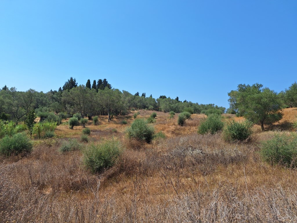 Land in Corfu, Corfu Prefecture, Greece – 60287