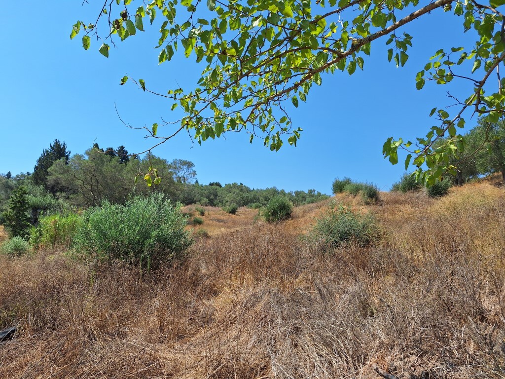 Land in Corfu, Corfu Prefecture, Greece – 60287