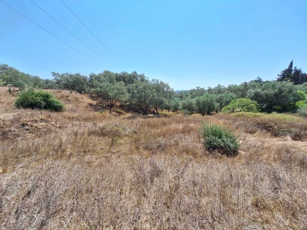 Land in Corfu, Corfu Prefecture, Greece – 60287