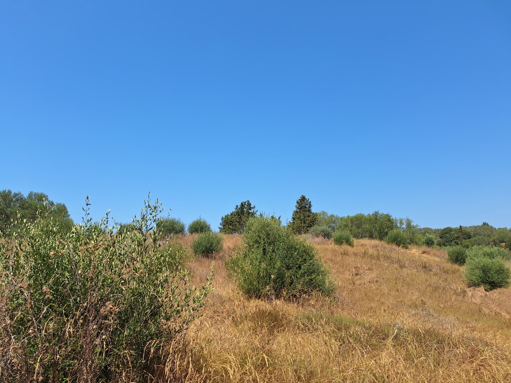 Land in Corfu, Corfu Prefecture, Greece – 60287