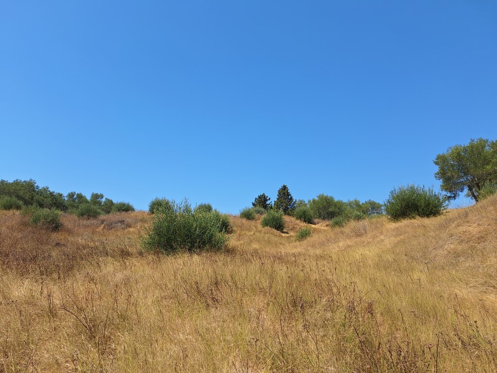 Land in Corfu, Corfu Prefecture, Greece – 60287