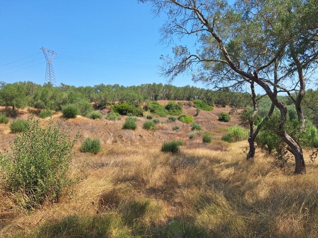 Land in Corfu, Corfu Prefecture, Greece – 60287