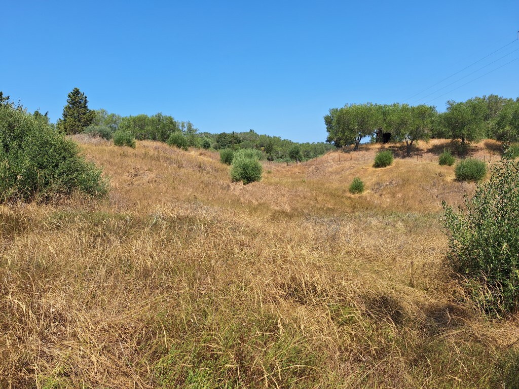 Land in Corfu, Corfu Prefecture, Greece – 60287