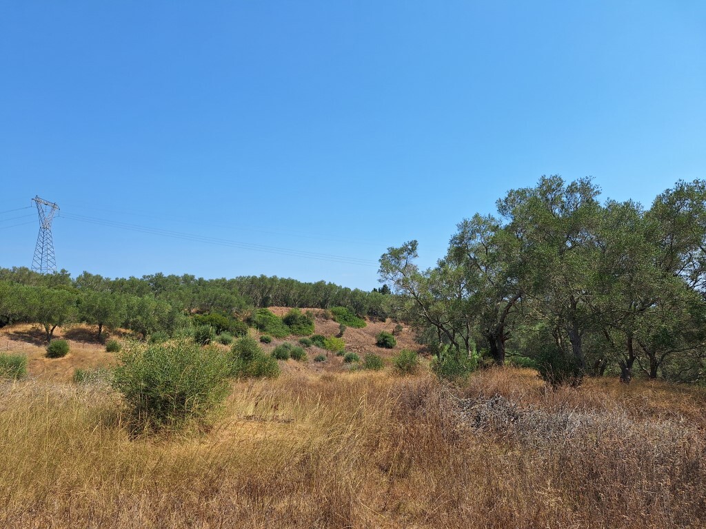 Land in Corfu, Corfu Prefecture, Greece – 60287
