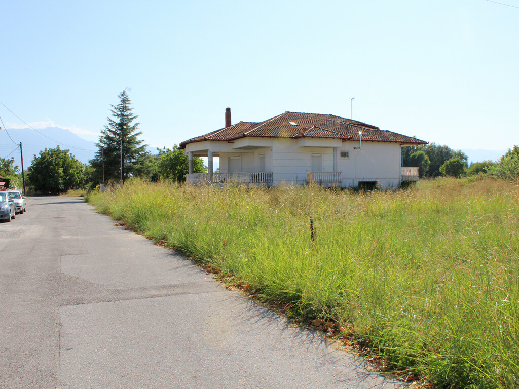 Land in Katerini, Pieria Prefecture, Greece – 60272