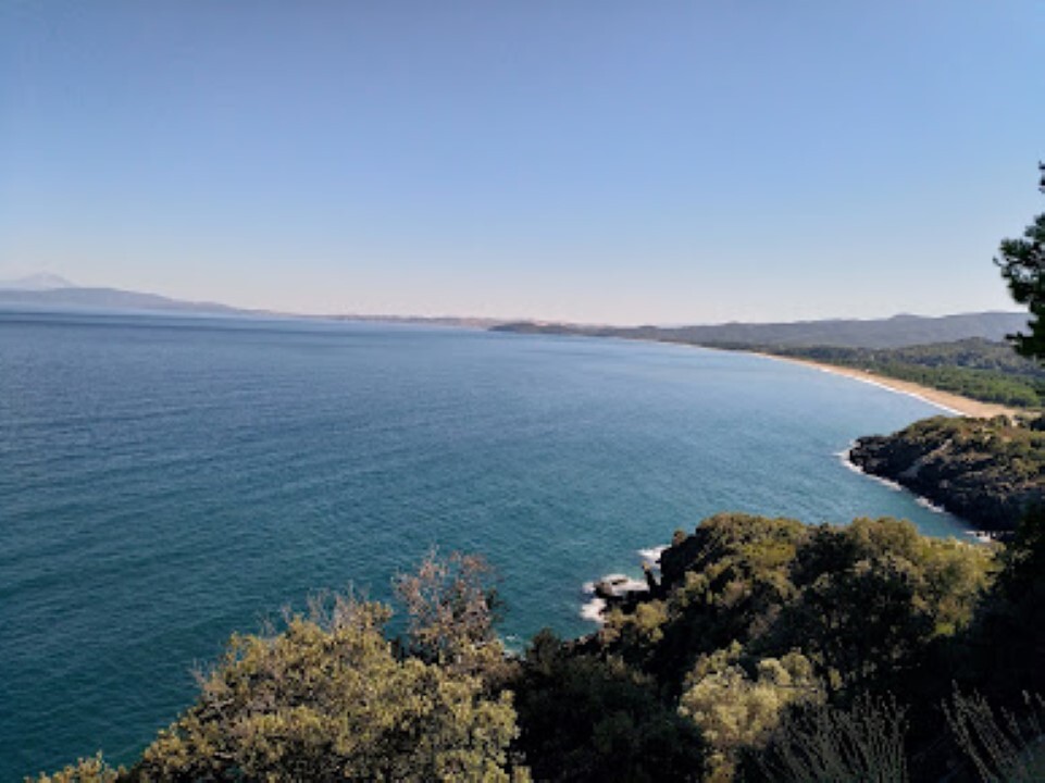 Land in Aristotle, Chalkidiki, Greece – 60262