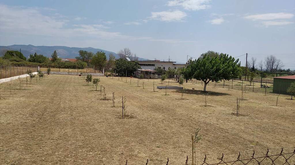 Commercial property in Xanthi, Xanthi Prefecture, Greece – 60251
