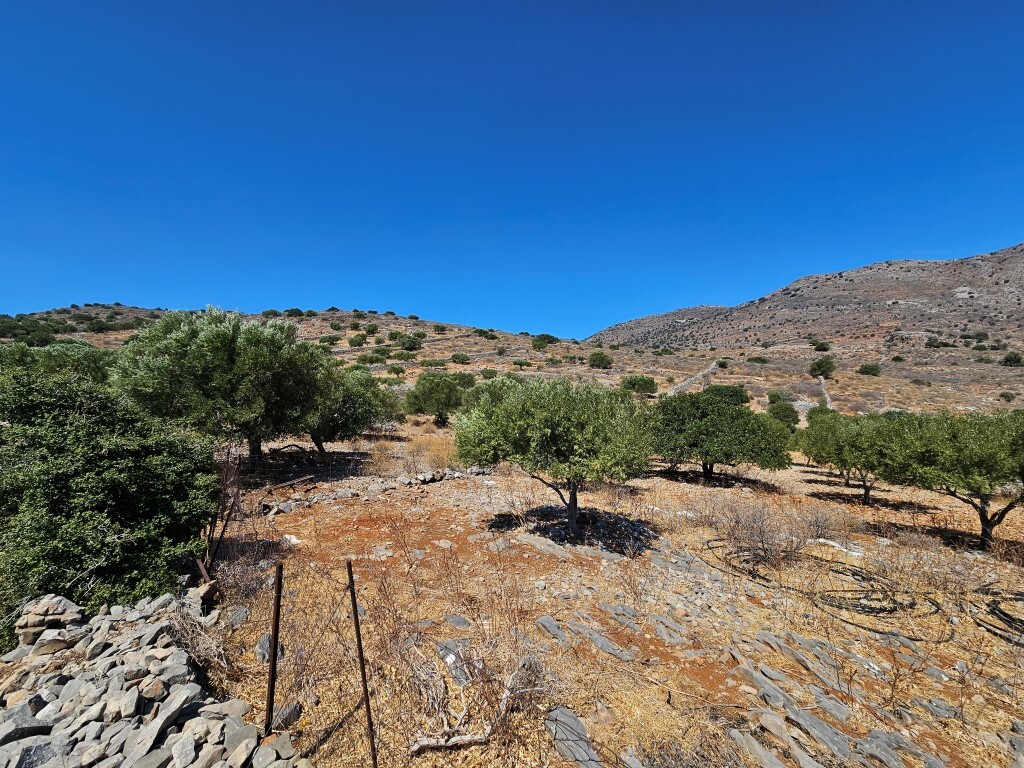 Land in Agios Nikolaos, Lasithi Prefecture, Greece – 60247