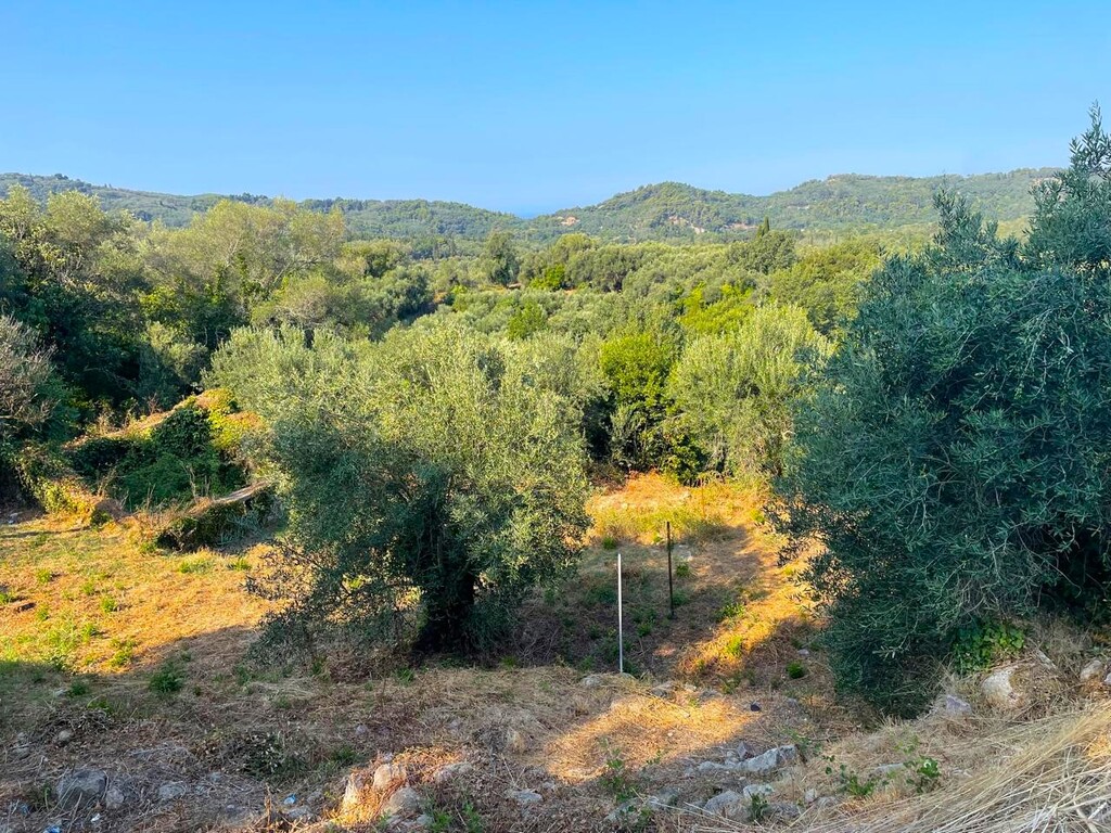 Land in Corfu, Corfu Prefecture, Greece – 60214