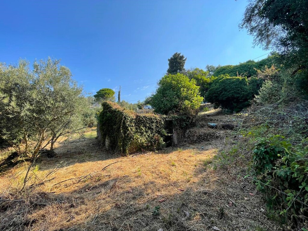 Land in Corfu, Corfu Prefecture, Greece – 60214