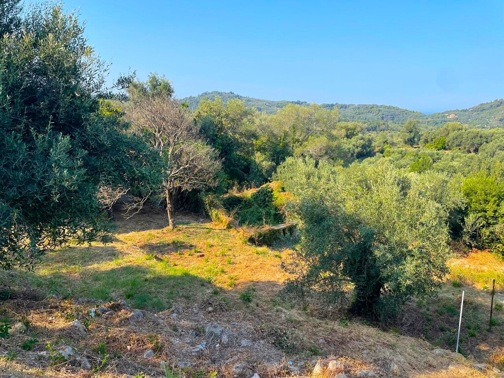 Land in Corfu, Corfu Prefecture, Greece – 60214