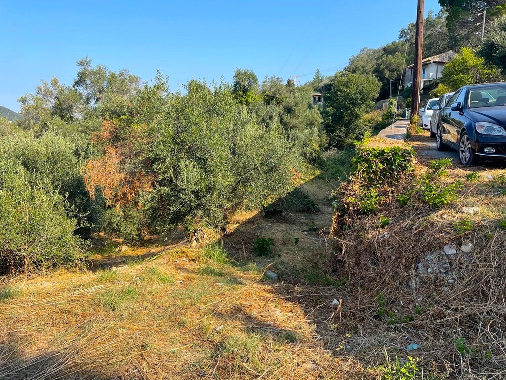 Land in Corfu, Corfu Prefecture, Greece – 60214