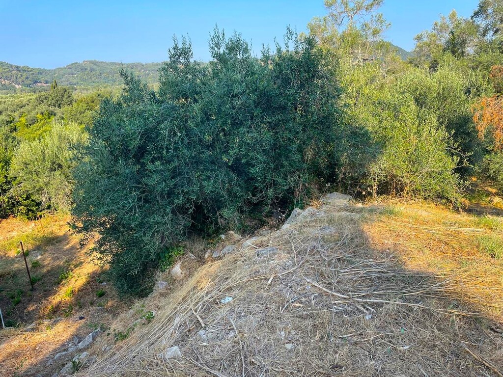 Land in Corfu, Corfu Prefecture, Greece – 60214