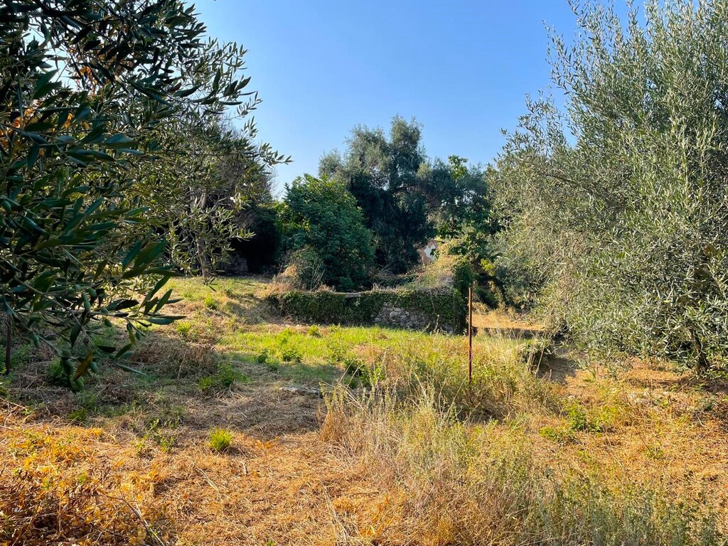 Land in Corfu, Corfu Prefecture, Greece – 60214