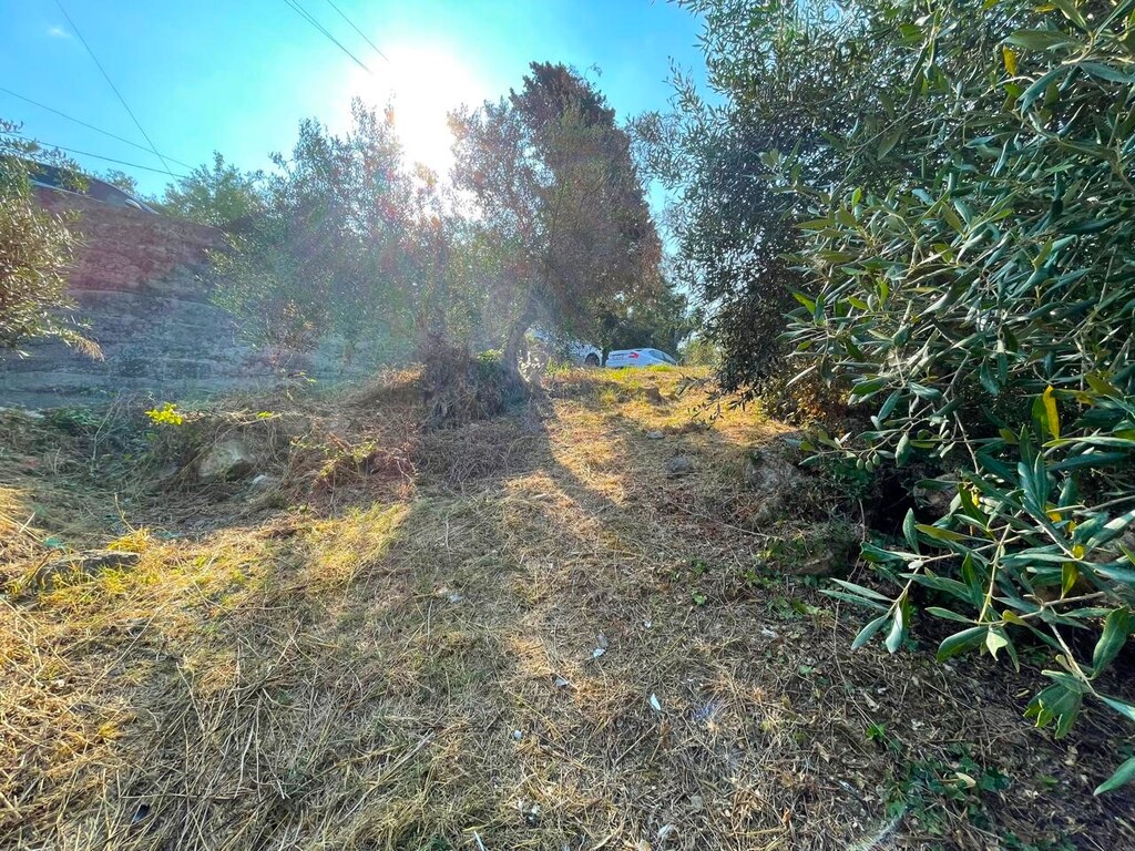 Land in Corfu, Corfu Prefecture, Greece – 60214