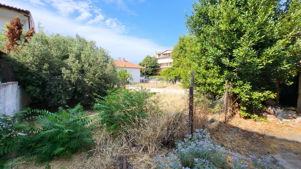 Detached house in Kassandra, Chalkidiki, Greece – 60210