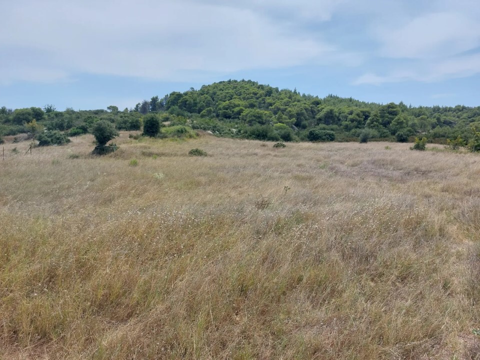 Land in Sithonia, Chalkidiki, Greece – 60205