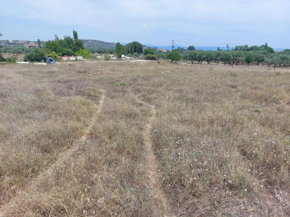 Land in Sithonia, Chalkidiki, Greece – 60205