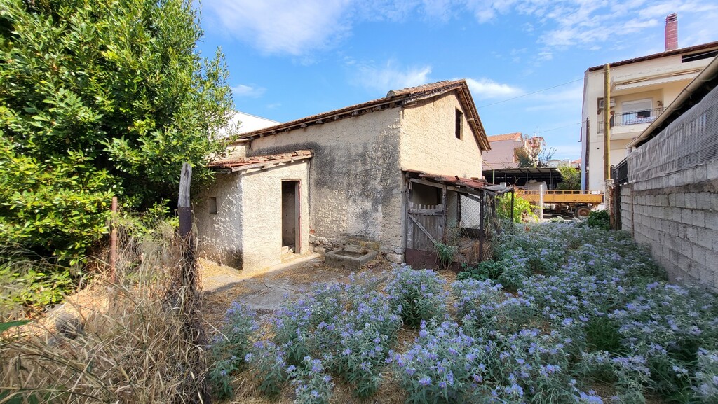 Land in Kassandra, Chalkidiki, Greece – 60201