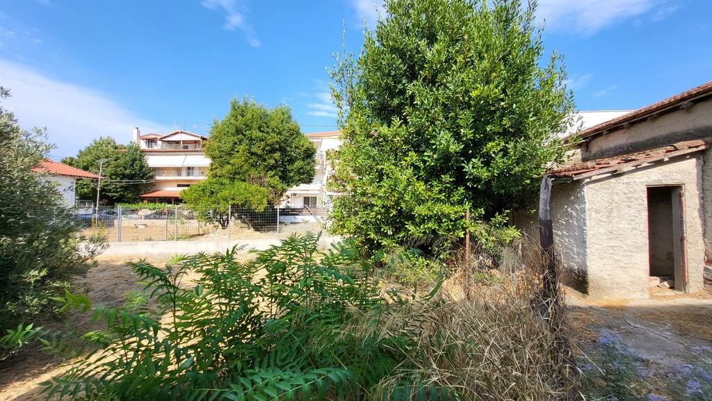 Land in Kassandra, Chalkidiki, Greece – 60201