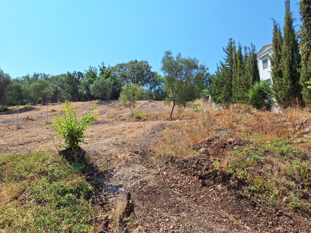 Land in Corfu, Corfu Prefecture, Greece – 60119
