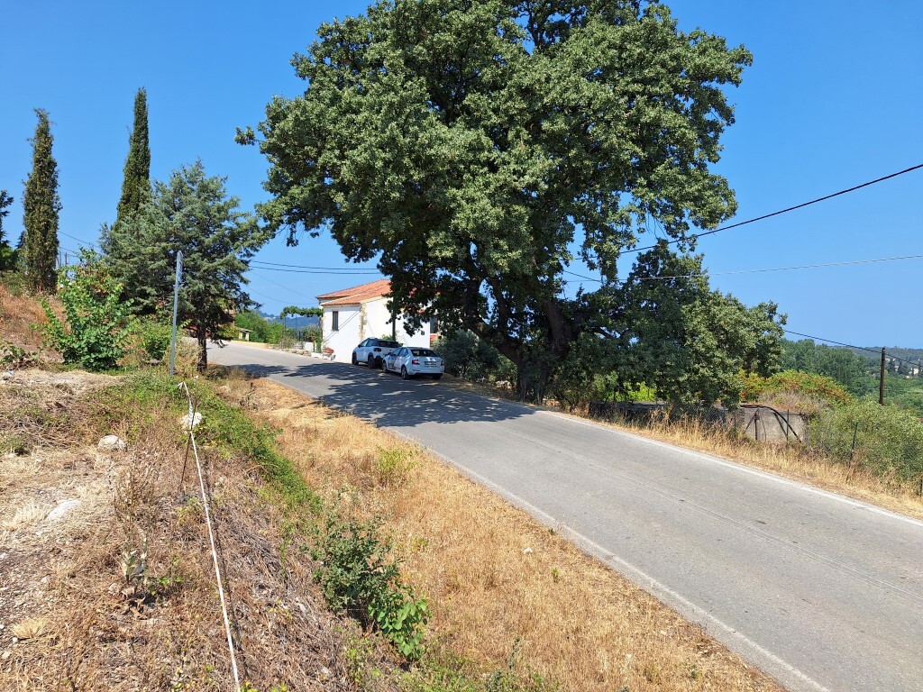 Land in Corfu, Corfu Prefecture, Greece – 60119