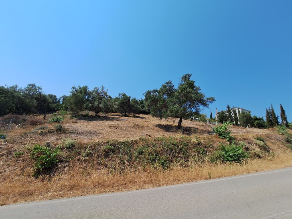 Land in Corfu, Corfu Prefecture, Greece – 60119